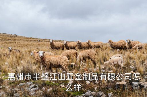  惠州市半壁江山五金制品有限公司怎么樣