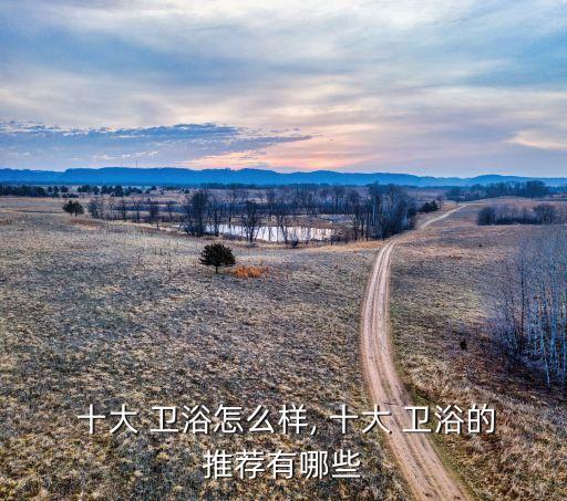 臺灣衛(wèi)浴品牌十大排名,德國進口衛(wèi)浴品牌十大排名