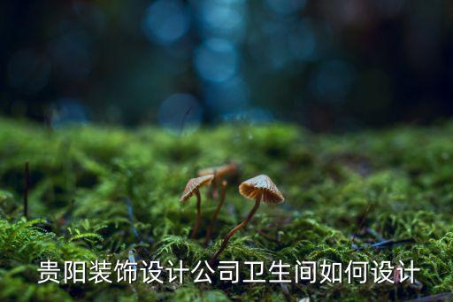  貴陽裝飾設計公司衛(wèi)生間如何設計