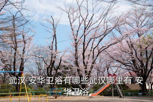 武漢 安華衛(wèi)浴有哪些武漢哪里有 安華衛(wèi)浴