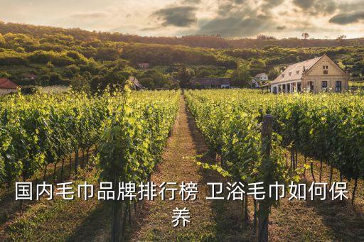 國(guó)內(nèi)毛巾品牌排行榜 衛(wèi)浴毛巾如何保養(yǎng)