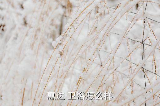 惠達(dá) 衛(wèi)浴怎么樣