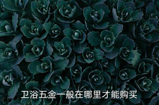 衛(wèi)浴五金一般在哪里才能購(gòu)買