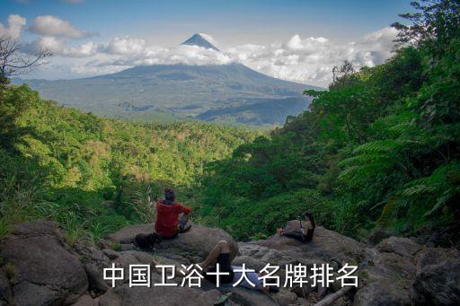 吉林衛(wèi)浴潔具品牌,衛(wèi)浴潔具品牌排行榜前十名