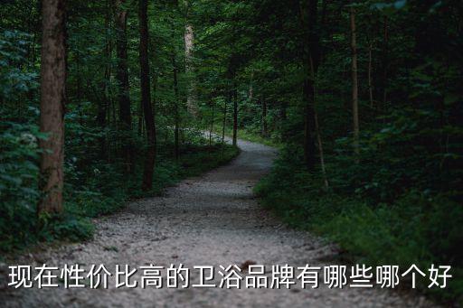 現(xiàn)在性價比高的衛(wèi)浴品牌有哪些哪個好
