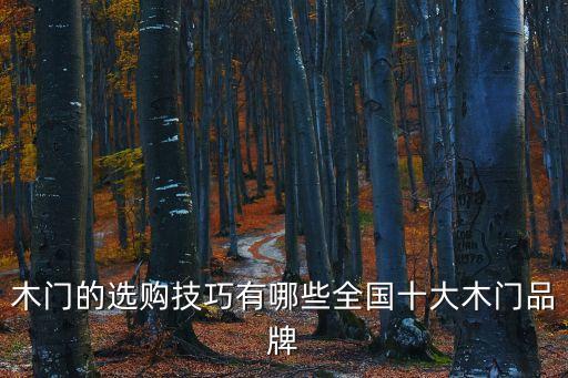 木門的選購技巧有哪些全國十大木門品牌