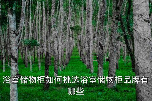 衛(wèi)浴柜里收納架子圖片
