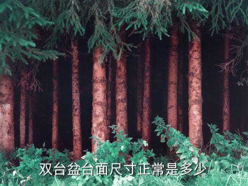 雙臺(tái)盆臺(tái)面尺寸正常是多少