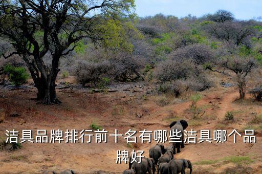 潔具品牌排行前十名有哪些潔具哪個品牌好
