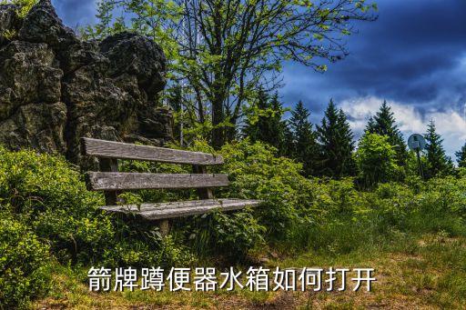 箭牌蹲便器水箱如何打開