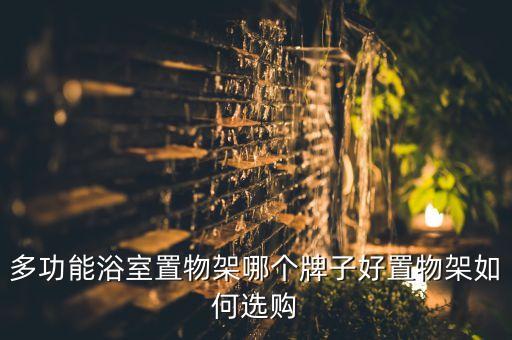 裝修衛(wèi)浴支架圖片效果圖,衛(wèi)浴店裝修效果圖大全 店面