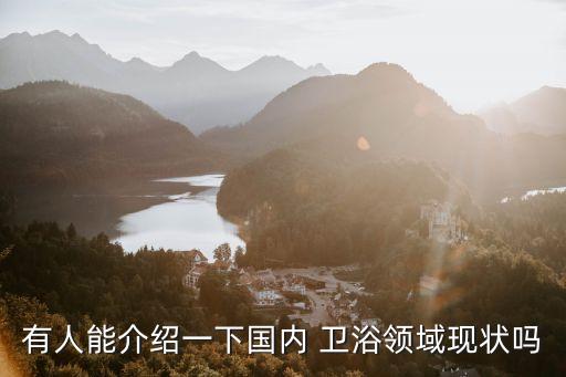 有人能介紹一下國內(nèi) 衛(wèi)浴領(lǐng)域現(xiàn)狀嗎