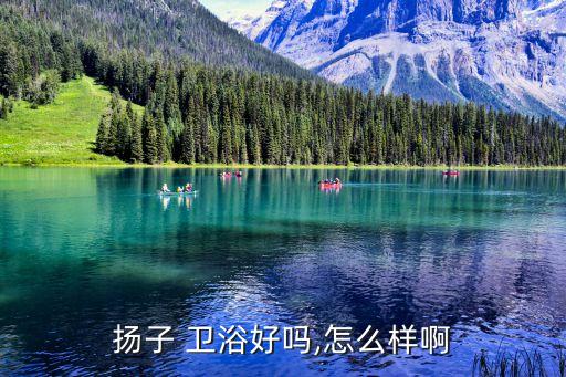 揚子 衛(wèi)浴好嗎,怎么樣啊