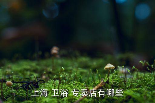 上海 衛(wèi)浴 專賣店有哪些