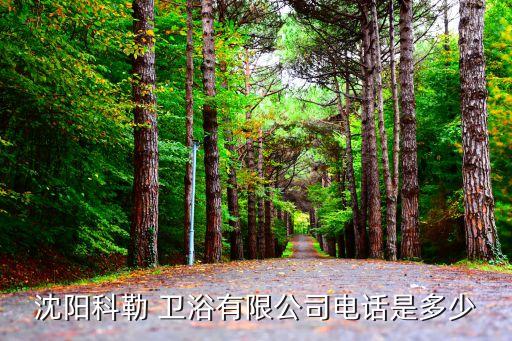 沈陽科勒 衛(wèi)浴有限公司電話是多少