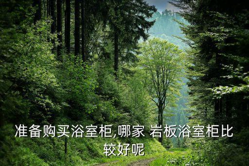 準備購買浴室柜,哪家 巖板浴室柜比較好呢