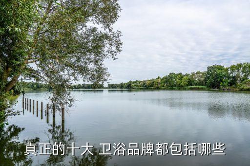 真正的十大 衛(wèi)浴品牌都包括哪些