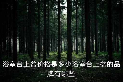 洗臉臺(tái)衛(wèi)浴品牌,衛(wèi)浴洗臉柜什么材質(zhì)好