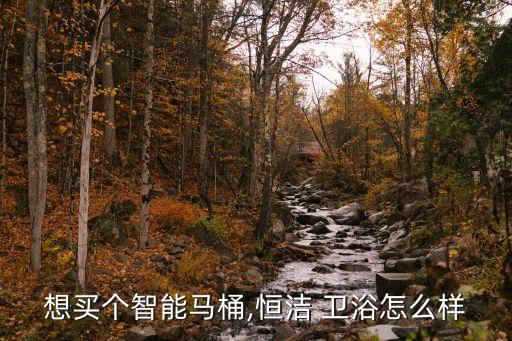 想買個智能馬桶,恒潔 衛(wèi)浴怎么樣