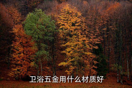  衛(wèi)浴五金用什么材質好