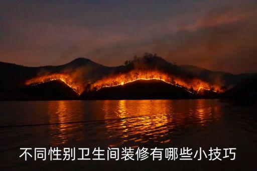 衛(wèi)浴圓弧形地墊效果圖片