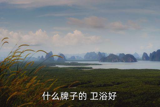 什么牌子的 衛(wèi)浴好