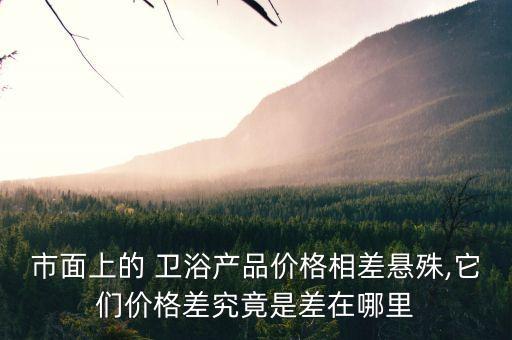 市面上的 衛(wèi)浴產(chǎn)品價格相差懸殊,它們價格差究竟是差在哪里