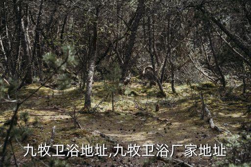 巴中九牧衛(wèi)浴地址,九牧衛(wèi)浴廠家地址
