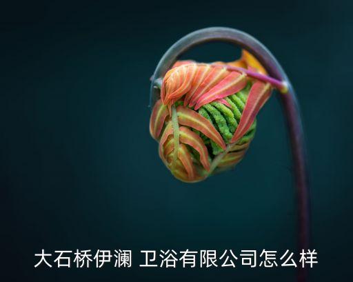 大石橋伊瀾 衛(wèi)浴有限公司怎么樣