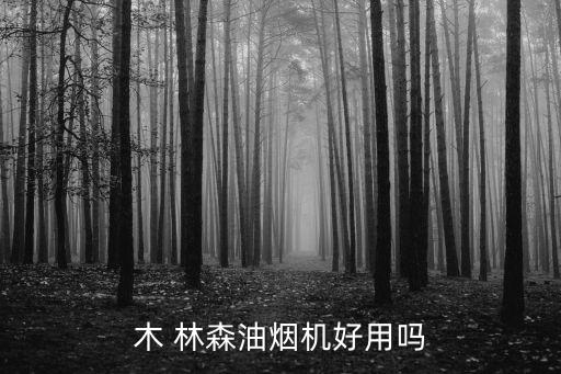 木 林森油煙機好用嗎