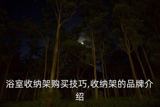 浴室收納架購買技巧,收納架的品牌介紹