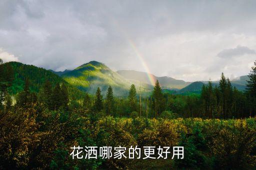 最好的歐洲衛(wèi)浴品牌,衛(wèi)浴掛件哪個(gè)品牌最好