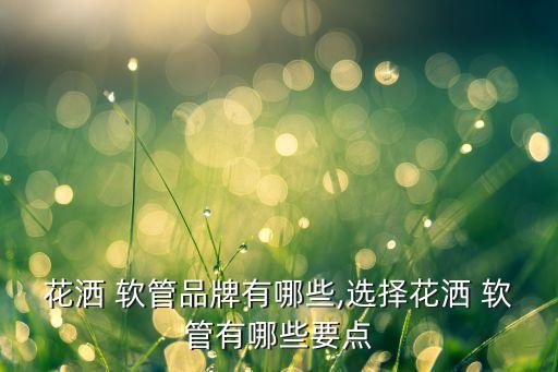 花灑 軟管品牌有哪些,選擇花灑 軟管有哪些要點(diǎn)