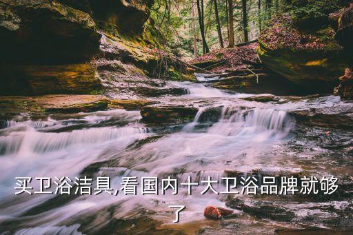 買(mǎi)衛(wèi)浴潔具,看國(guó)內(nèi)十大衛(wèi)浴品牌就夠了
