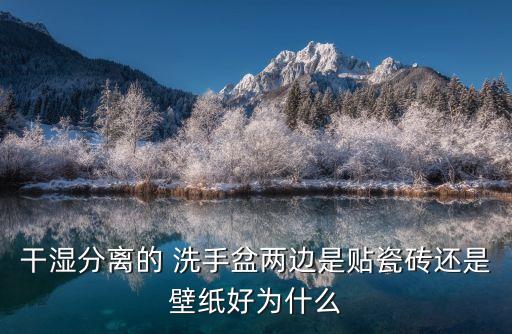 干濕分離的 洗手盆兩邊是貼瓷磚還是壁紙好為什么