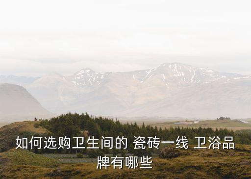 如何選購衛(wèi)生間的 瓷磚一線 衛(wèi)浴品牌有哪些