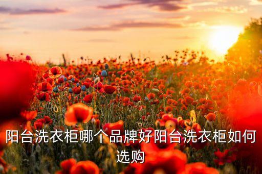 陽臺洗衣柜哪個品牌好陽臺洗衣柜如何選購