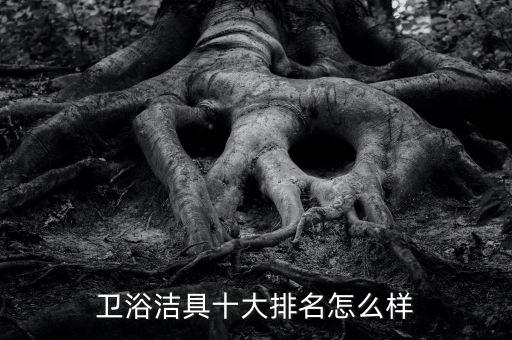 浪穎衛(wèi)浴算品牌嗎,米洛斯衛(wèi)浴算幾線品牌