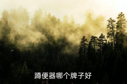 joyou馬桶是什么衛(wèi)浴品牌