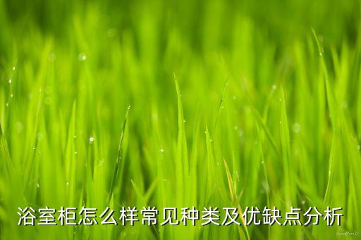 浴室柜怎么樣常見種類及優(yōu)缺點(diǎn)分析
