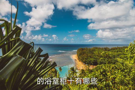的浴室柜十有哪些