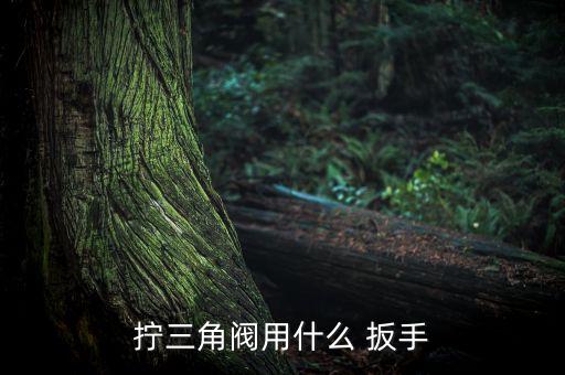 萬能扳手圖片衛(wèi)浴,自制萬能扳手工具圖片大全