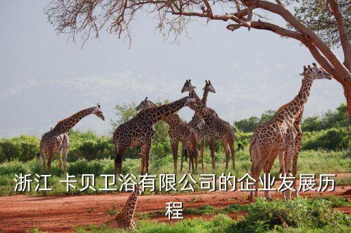 浙江 卡貝衛(wèi)浴有限公司的企業(yè)發(fā)展歷程