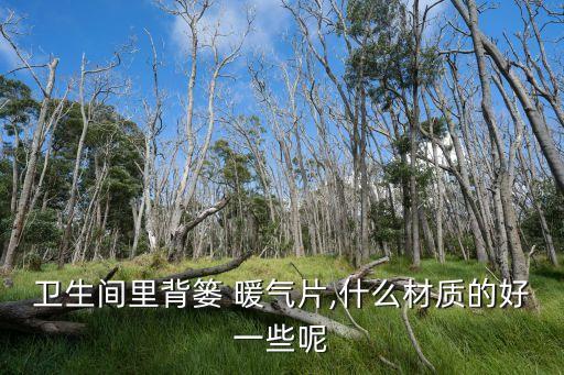 蚌埠衛(wèi)浴暖氣片結(jié)構(gòu)圖片