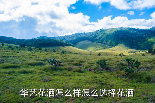 華藝衛(wèi)浴設(shè)計裝修圖片