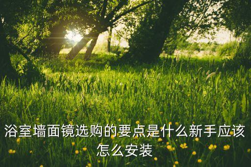浴室墻面鏡選購的要點是什么新手應(yīng)該怎么安裝