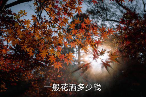 一般花灑多少錢