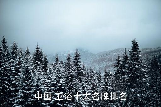 中國(guó) 衛(wèi)浴十大名牌排名