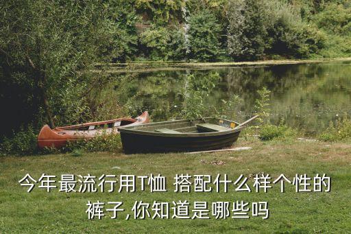 今年最流行用T恤 搭配什么樣個(gè)性的 褲子,你知道是哪些嗎