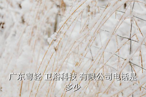 廣東粵輕 衛(wèi)浴科技 有限公司電話是多少